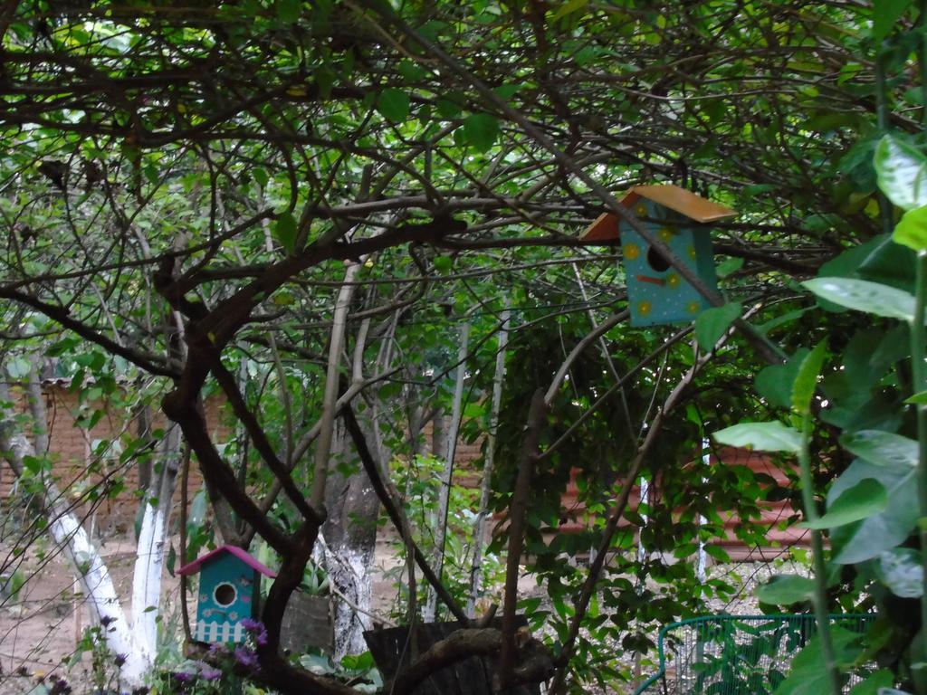 Hostal Casa Vieja Chiquimula Εξωτερικό φωτογραφία