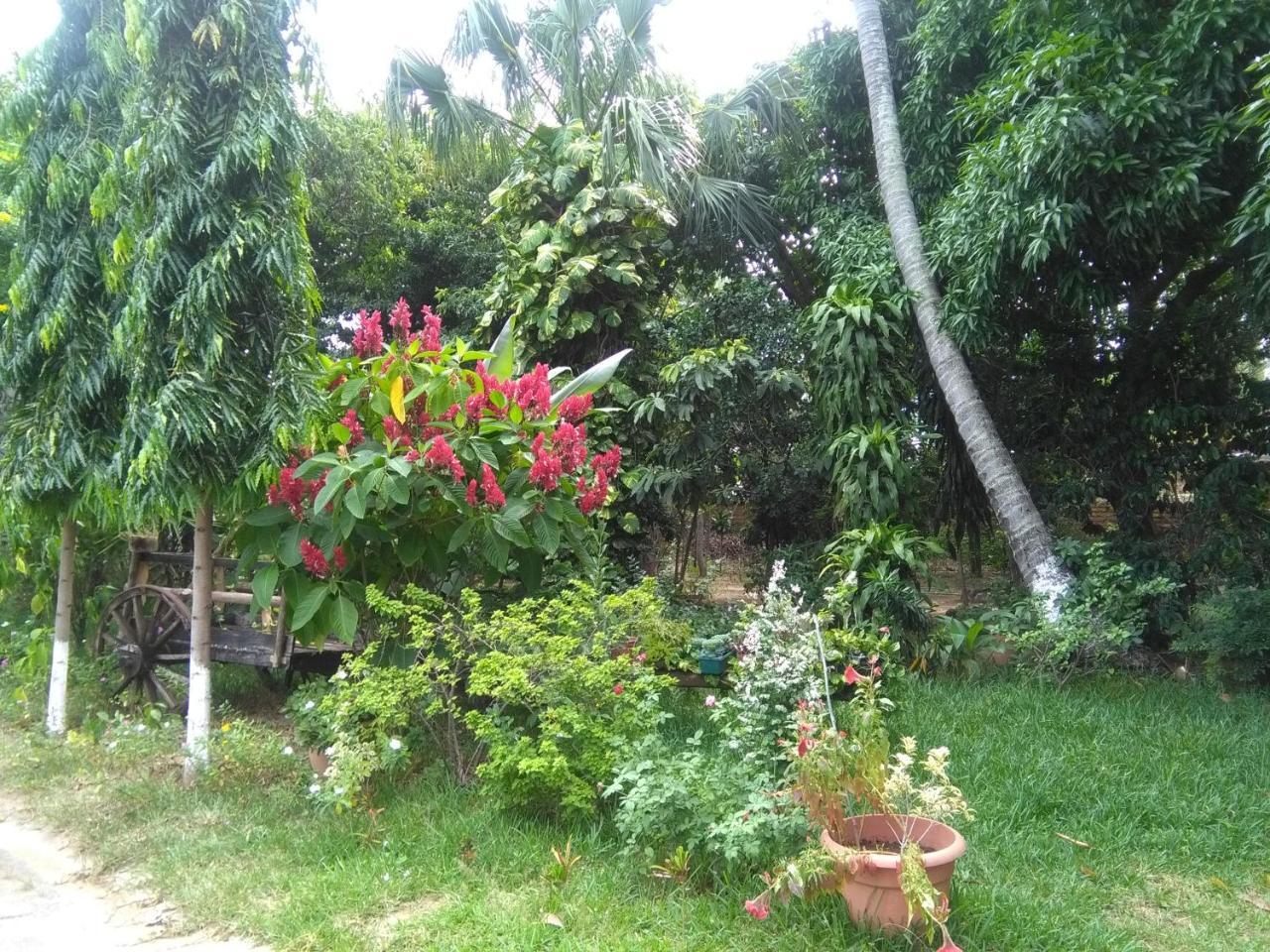 Hostal Casa Vieja Chiquimula Εξωτερικό φωτογραφία